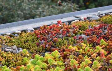 the cost of Mogador green roof installation