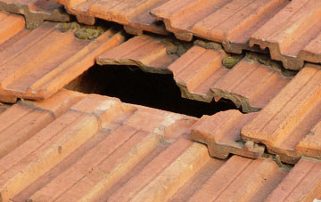 roof repair Mogador, Surrey